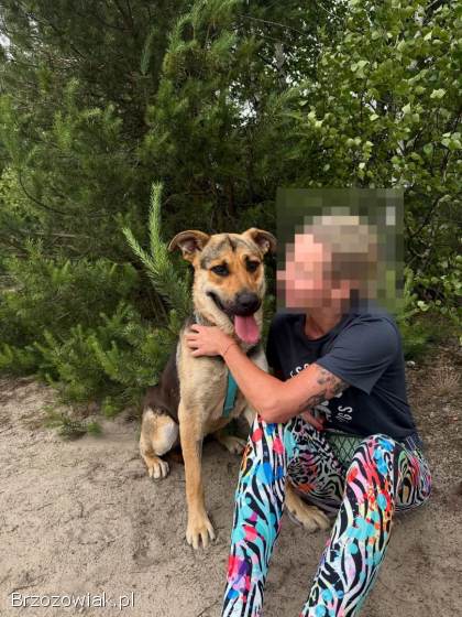 Magnus -  młodziutki,  kochany oczarkowaty dzieciak