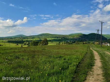 Dwie widokowe działki budowlane w Trepczy o łącznej powierzchni 79 ar z WZ