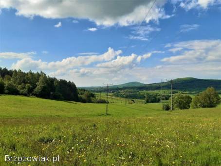 Dwie widokowe działki budowlane w Trepczy o łącznej powierzchni 79 ar z WZ