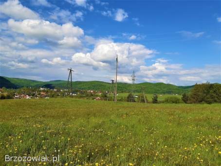 Dwie widokowe działki budowlane w Trepczy o łącznej powierzchni 79 ar z WZ