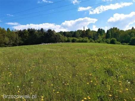 Dwie widokowe działki budowlane w Trepczy o łącznej powierzchni 79 ar z WZ
