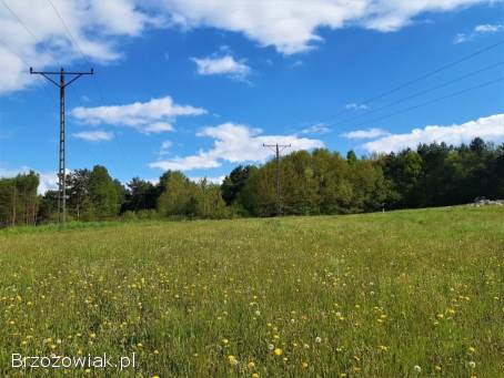 Dwie widokowe działki budowlane w Trepczy o łącznej powierzchni 79 ar z WZ