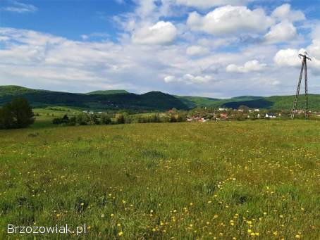 Dwie widokowe działki budowlane w Trepczy o łącznej powierzchni 79 ar z WZ