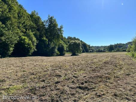 Działka w bliskiej odległości zapory solińskiej
