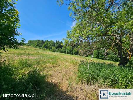 Czarnorzeki – 4 działki z warunkami zabudowy