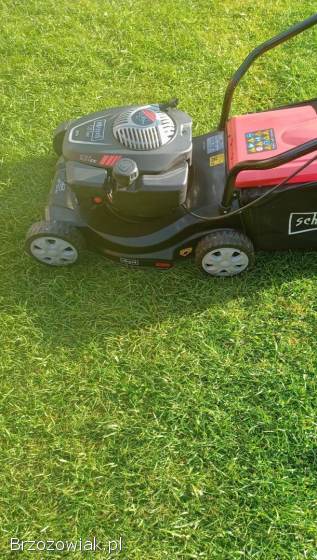 Kosiarka spalinowa bez napędu Scheppach