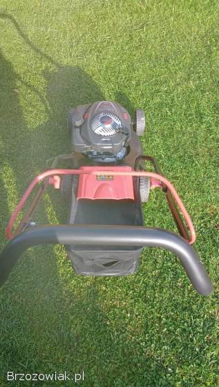 Kosiarka spalinowa bez napędu Scheppach