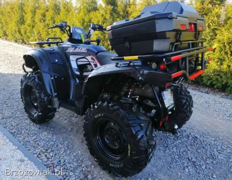 Quada TGB Blade 550 4x4 2010r.