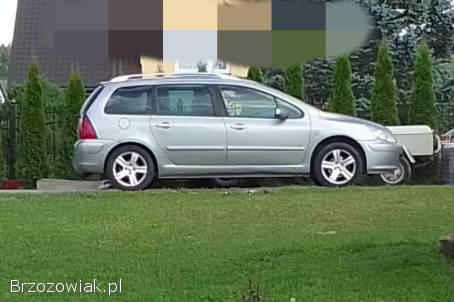 Peugeot 307 Sw 2004