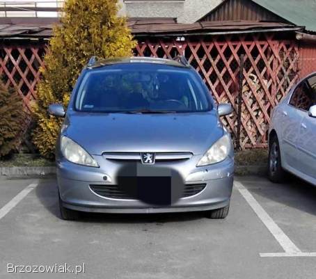 Peugeot 307 Sw 2004