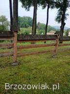 Piaskowanie,  oczyszczanie