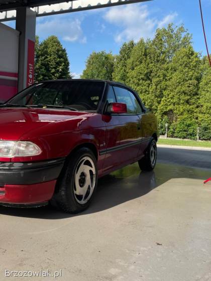 Opel Astra Astra F Cabrio 1994