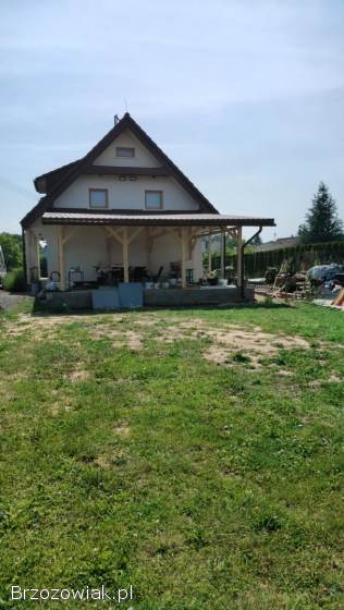 Wykonam dachy,  altany,  tarasy