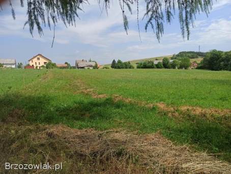 Działka Nadolany -  w całości lub podział na działki