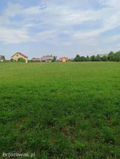 Działka Nadolany -  w całości lub podział na działki