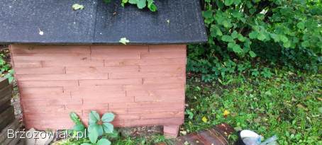 Sprzedam na szybko bude dla duzego psa