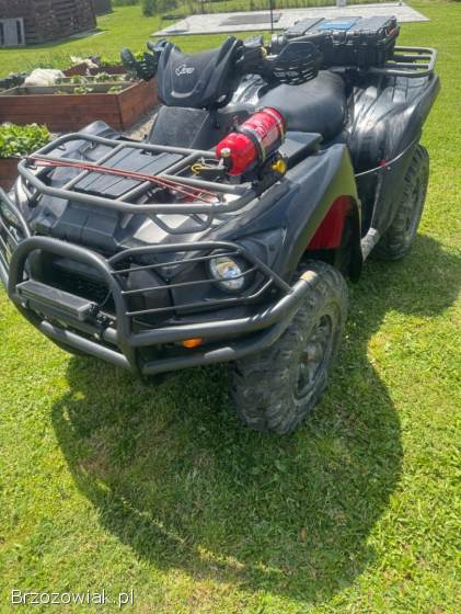 Quad Kawasaki brute force 750