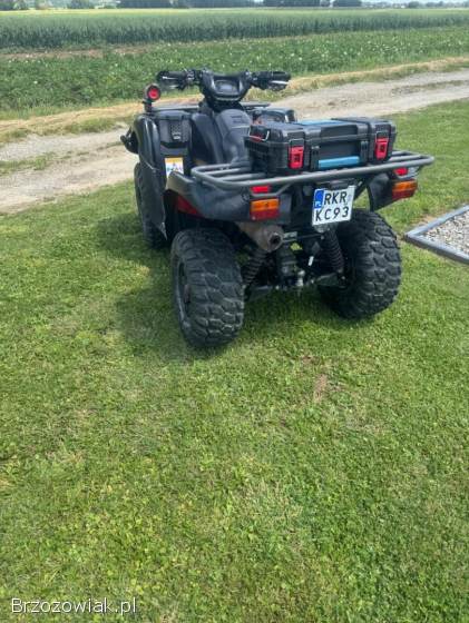 Quad Kawasaki brute force 750