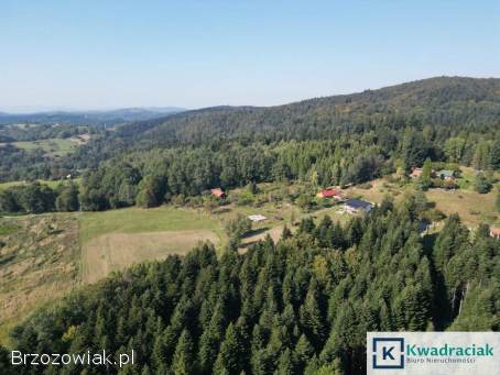 Odrzykoń – widokowa działka z WZ,  blisko lasu!