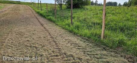 Koszenie traw i nieużytków.
