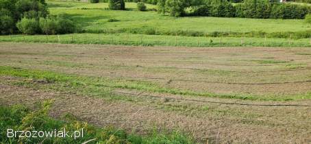 Koszenie traw i nieużytków.