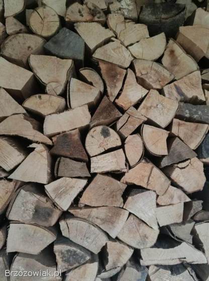 DREWNO BUK SUCHE Z TRANSPORTEM