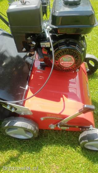 Wertykulator spalinowy Einhell GC-SC 2240P