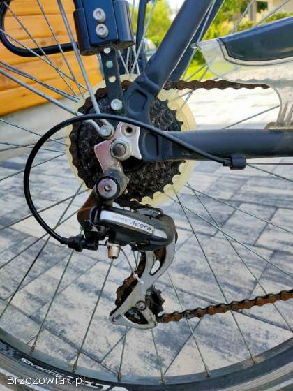 Rower trekkingowy Best