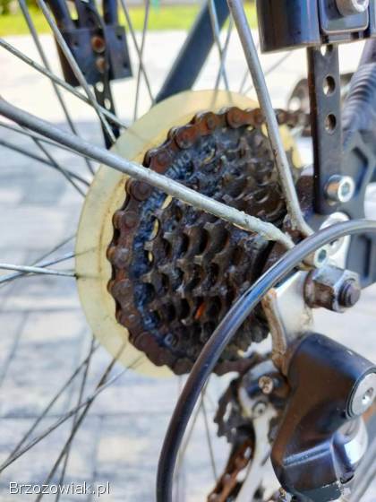 Rower trekkingowy Best