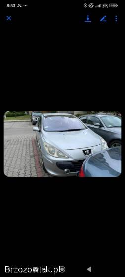 Peugeot 307 2005