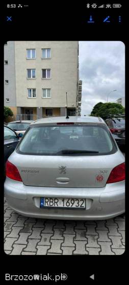 Peugeot 307 2005