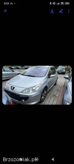 Peugeot 307 2005