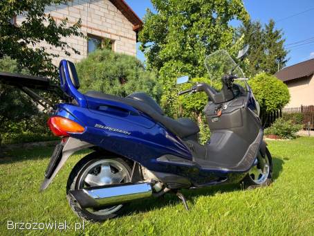 Suzuki Burgman AN 250 1999