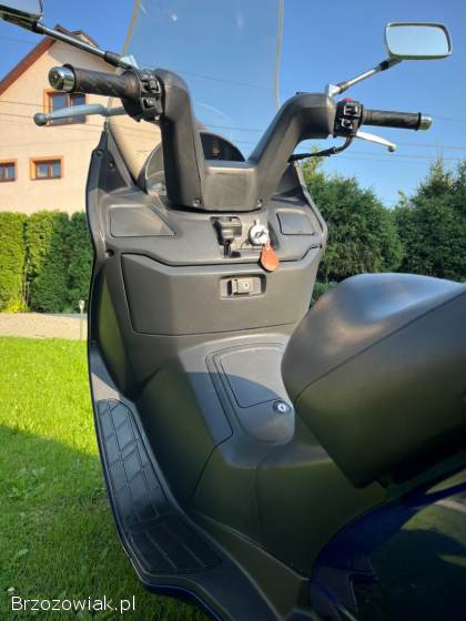 Suzuki Burgman AN 250 1999