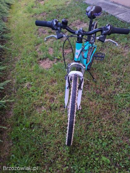 Rower Kross Lea Junior