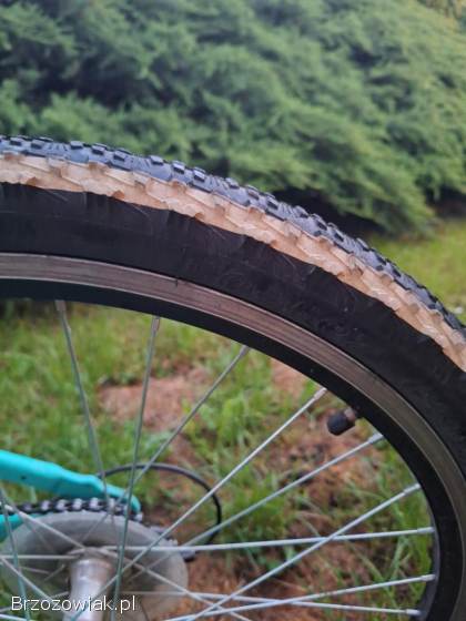 Rower Kross Lea Junior