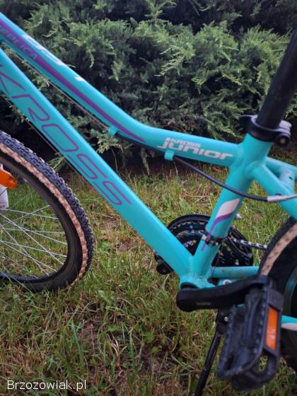 Rower Kross Lea Junior