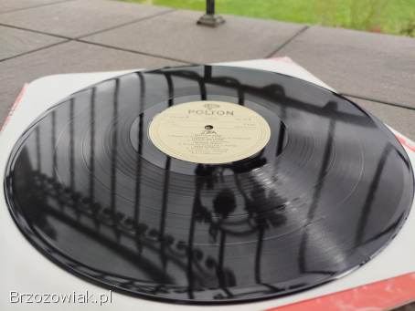 TSA – TSA Polton 1982 – NOWA (M),  Nigdy nie słuchana,  Płyta winylowa,  winyl