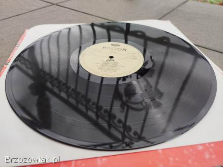 TSA – TSA Polton 1982 – NOWA (M),  Nigdy nie słuchana,  Płyta winylowa,  winyl