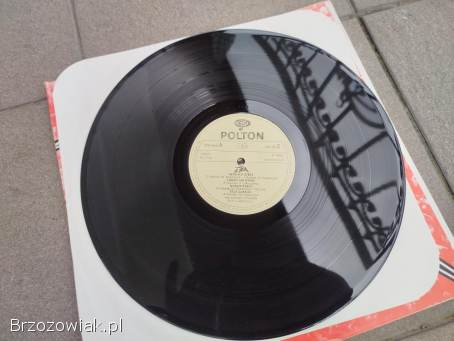 TSA – TSA Polton 1982 – NOWA (M),  Nigdy nie słuchana,  Płyta winylowa,  winyl