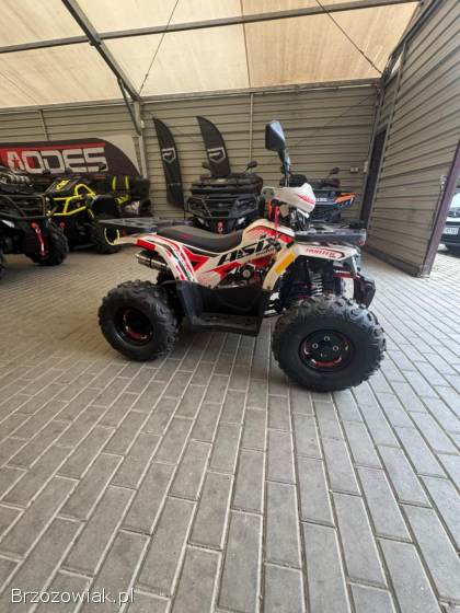 Quad ASIX HUNTER 125cc