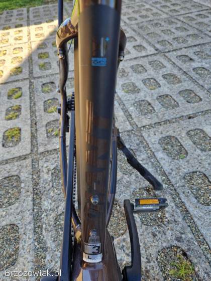 Rower elektryczny Giant