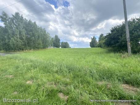 Brzezówka,  gm.  Tarnowiec -  dom z dużą działką.