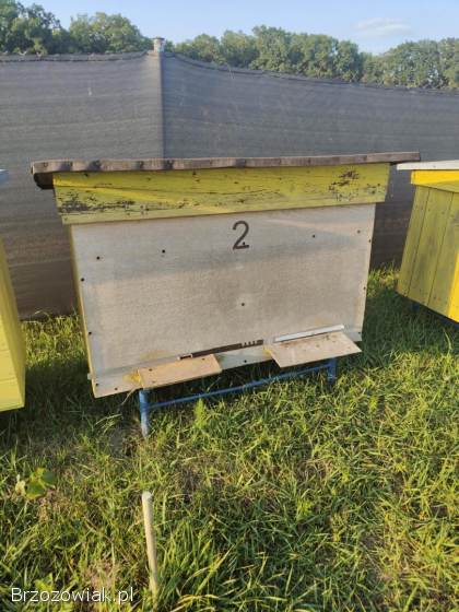Sprzedam ule wielkopolski odwrócony