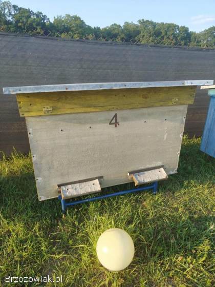 Sprzedam ule wielkopolski odwrócony