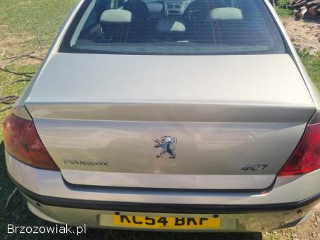 Peugeot 407 Angielska  2004