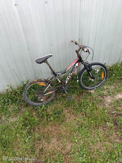 Rower górski (damka) 26