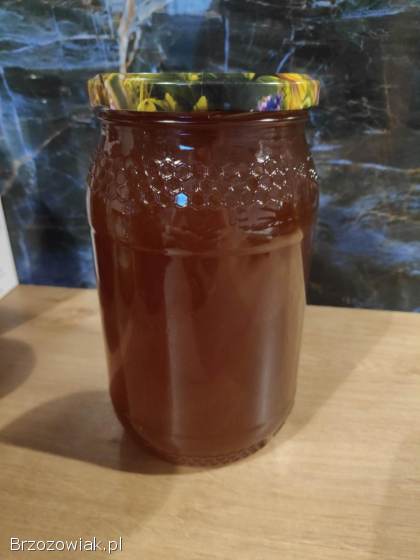 Miód wielokwiatowy leśny nektarowo-spadziowy