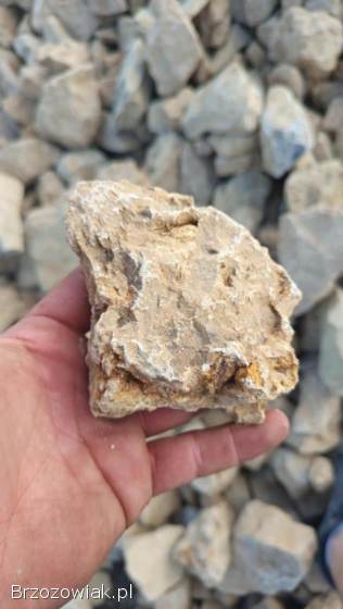 Kamień dekoracyjny skalniaki