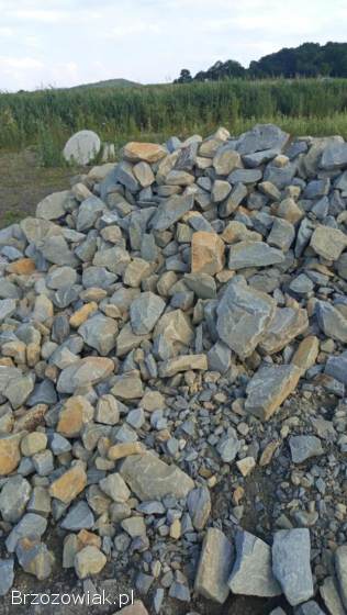 Kamień dekoracyjny skalniaki